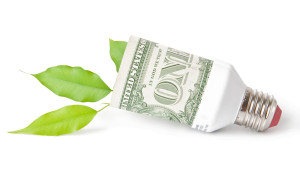 Green-Money-Bulb---canstockphoto12748906